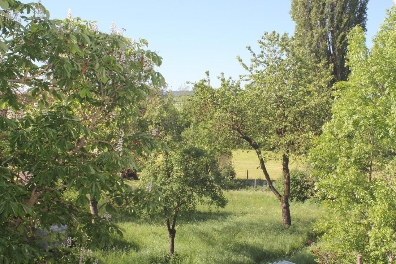 Fewo Am Schlossberg Neusitz  المظهر الخارجي الصورة